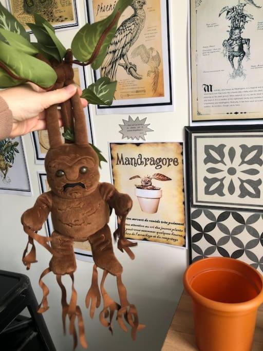 Maison Harry Potter Pour 6 Personnes En Centre Ville モントーバン エクステリア 写真